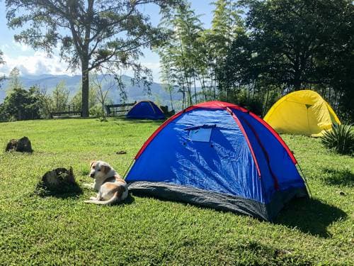 Alojamiento en carpas Ecolife, Lago Calima