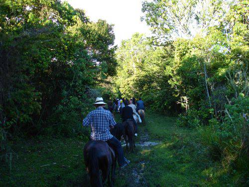 Paseos a caballo en el Lago Calima