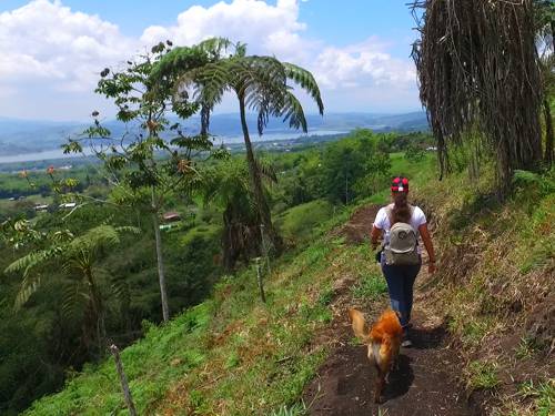 Sendero Ecológico Ecolife Calima