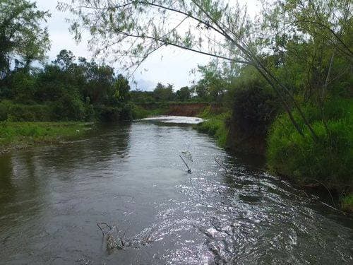 Naturaleza en el Río Calima. Lago Calima