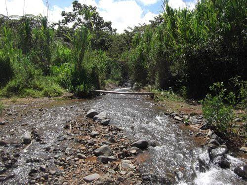 Piedras en el Río Calima. Lago Calima