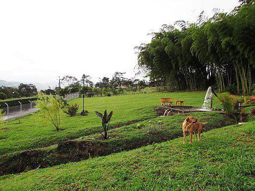 Finca en venta en el Lago Calima